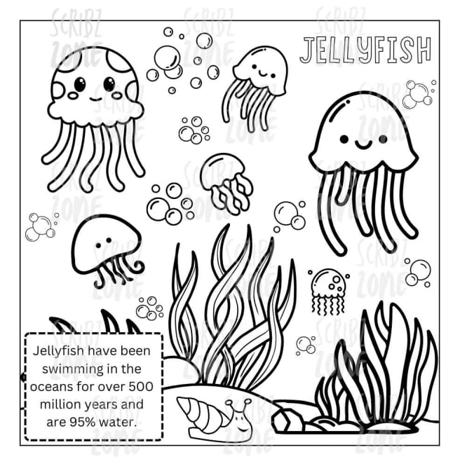 Jellyfish - coloring book - My color adventure: sea animals